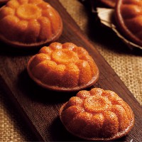 太陽(yáng)花